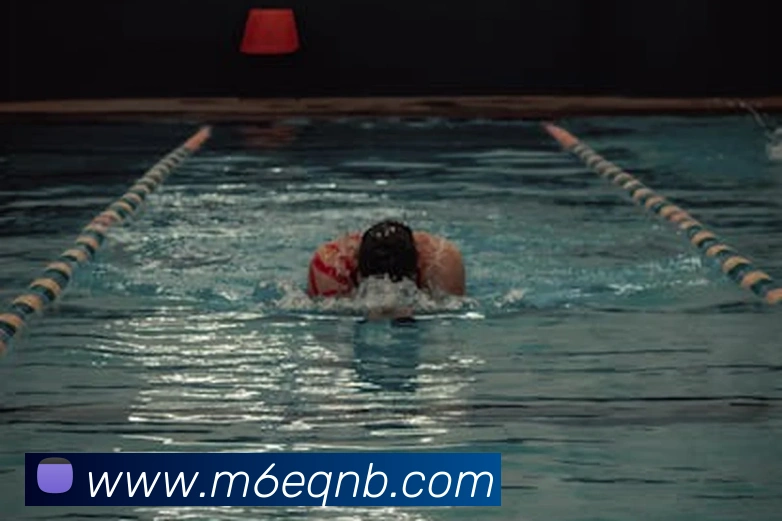 米乐m6服务体系